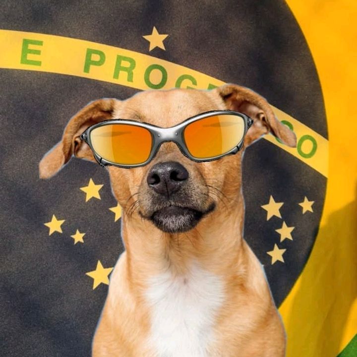 Zeca das Tailandesas
