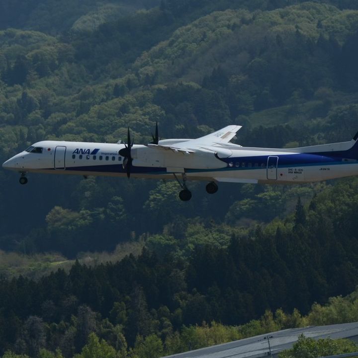 空活垢