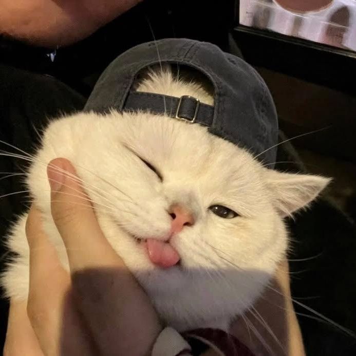 yuki🌸