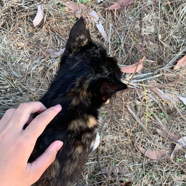 ˖ ֹ੭୧𝐢𝐭𝐳𝐬𝐡𝐞𝐢𝐲⊹ ࣪