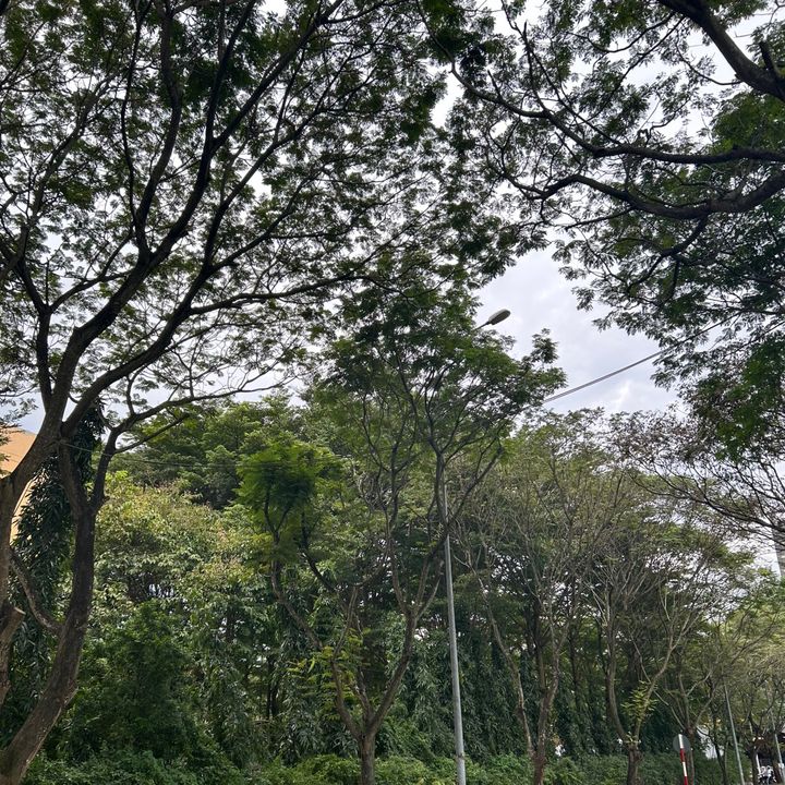 Lý Thế Anh✨