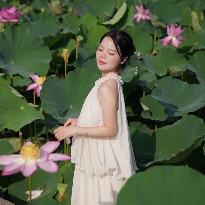 Ánh Mê Săn Seo