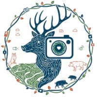 Forest Companions