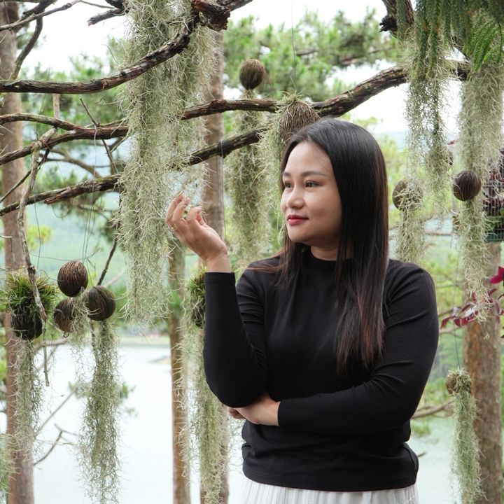 GÓC NHÀ LINH 🇻🇳