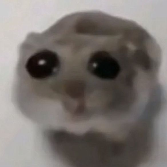 ねねね
