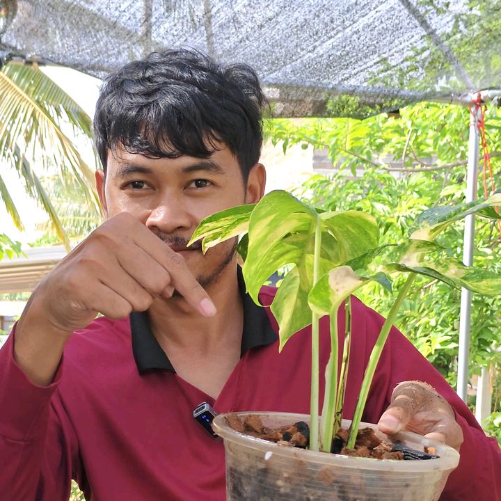 เต้ย เพื่อนเกษตร