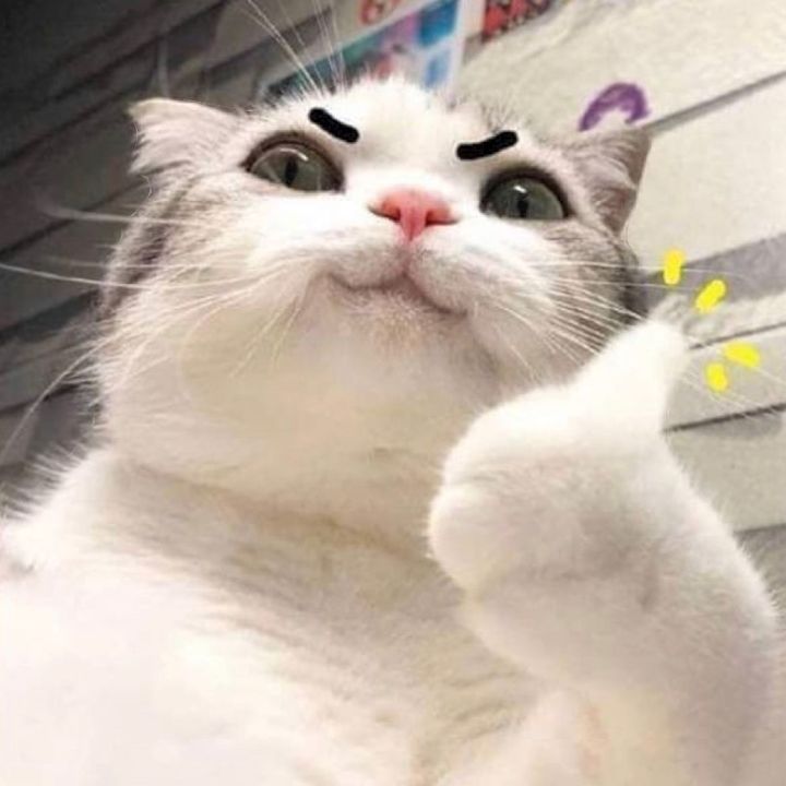 nào xh đổi tên🏅