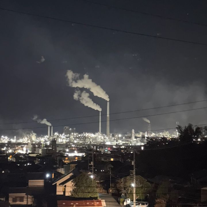 強力わかもと