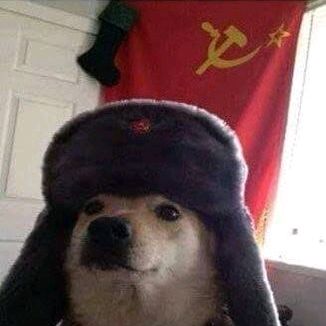 Cortes da Revolução