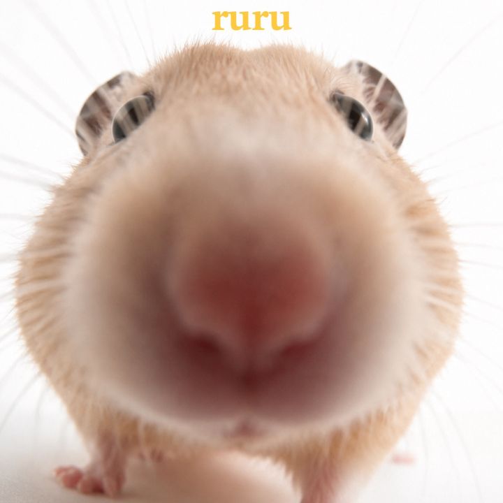 _𝗿𝘂𝗿𝘂_