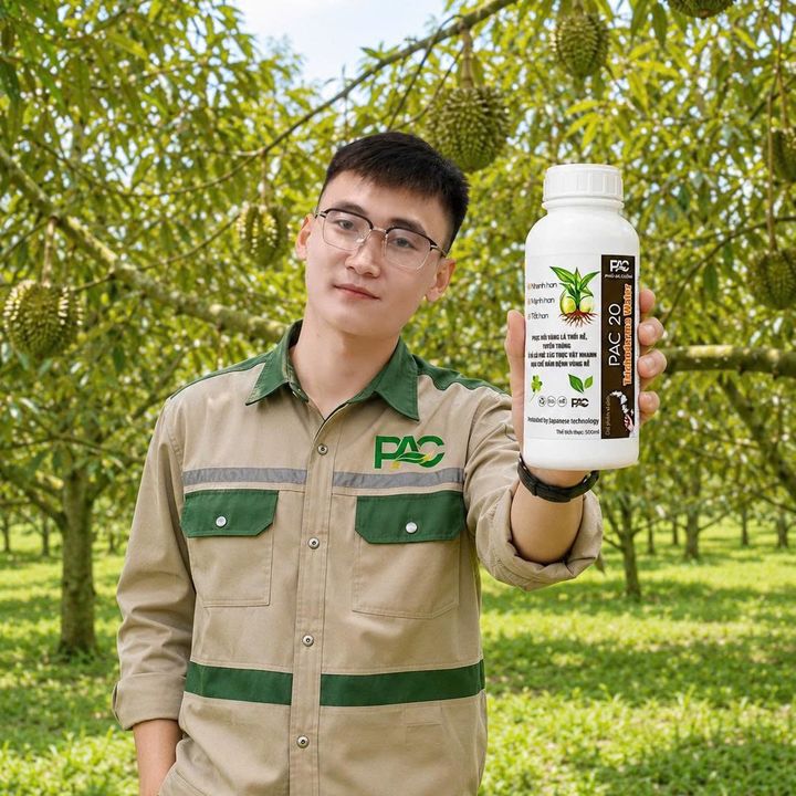 Việt Và Vườn
