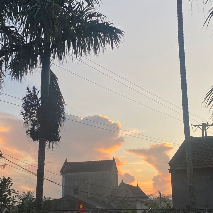 Lộc đặt đơn hộ