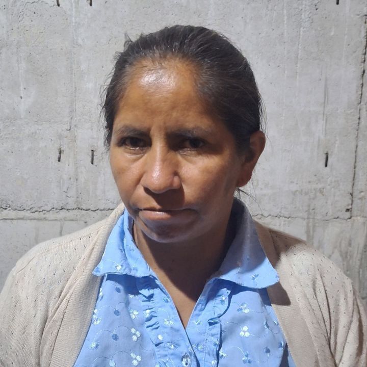 🏡 Mamita Construcción 🏗️