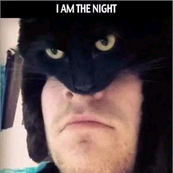 petparadise6666