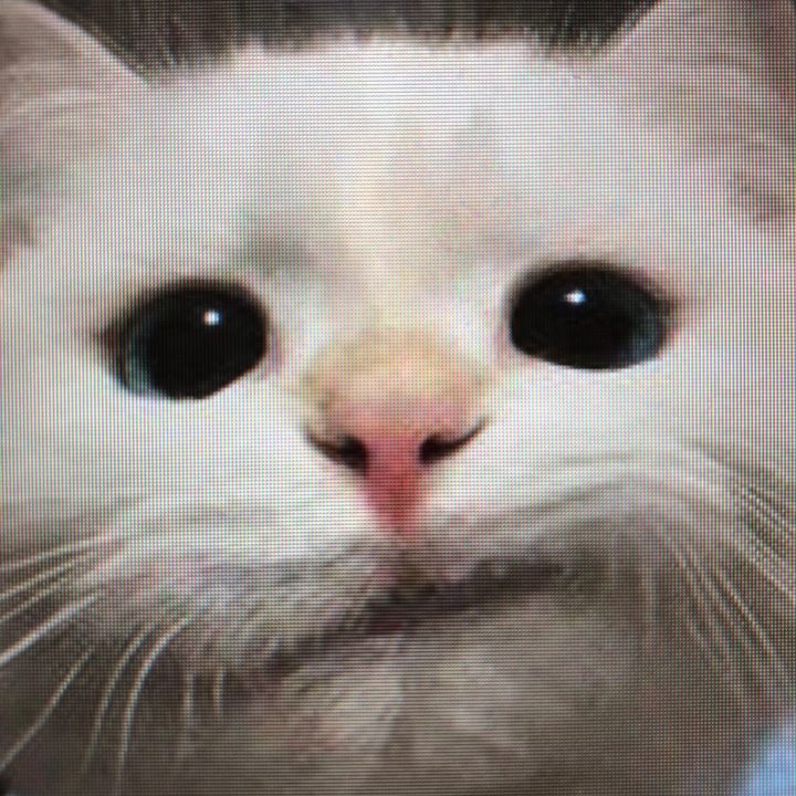 guguufuf