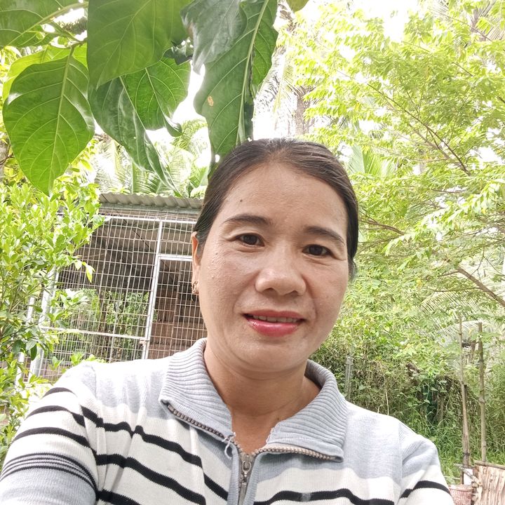 shop hồng Bắc