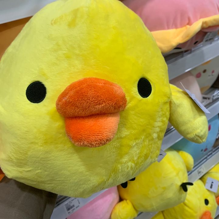 someonhysgsu