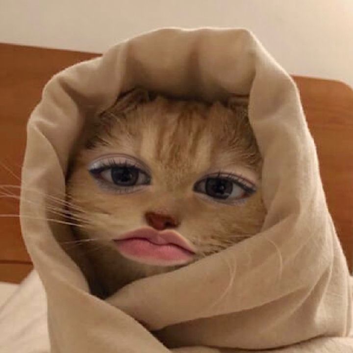 เบลล่ามูน