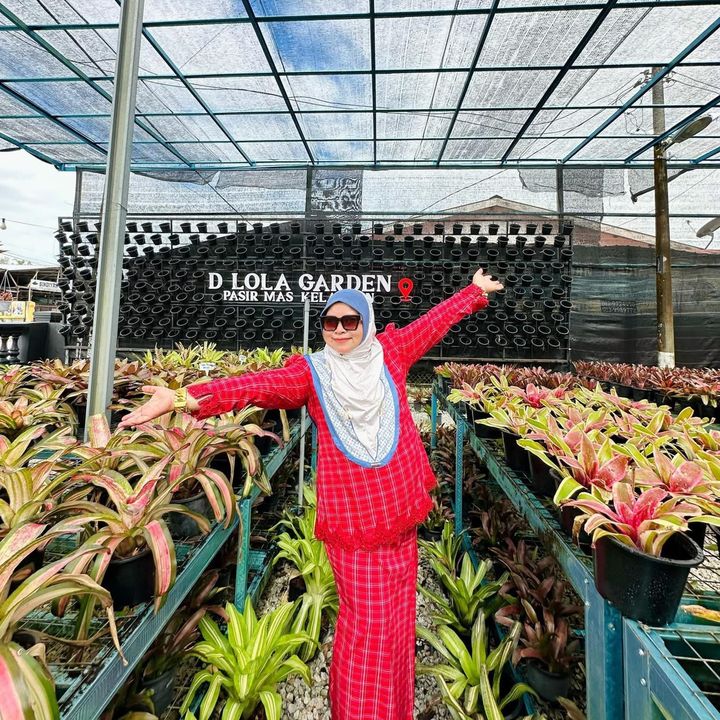 racunbromeliad