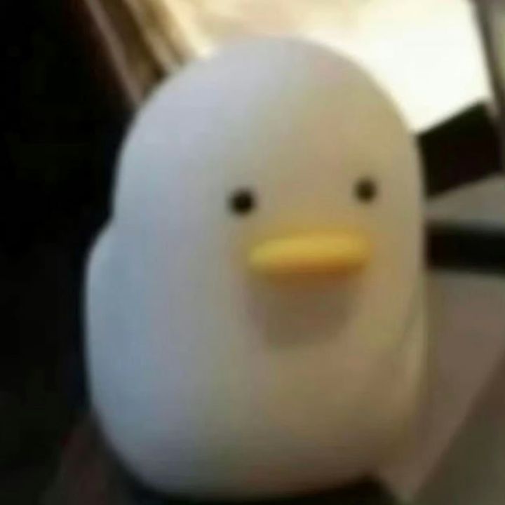 BonitaMex