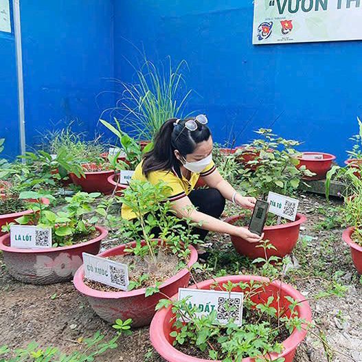 Cây thuốc quê nhà