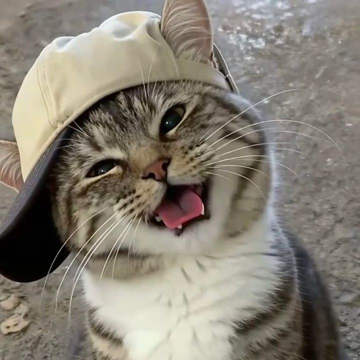 S Y A H