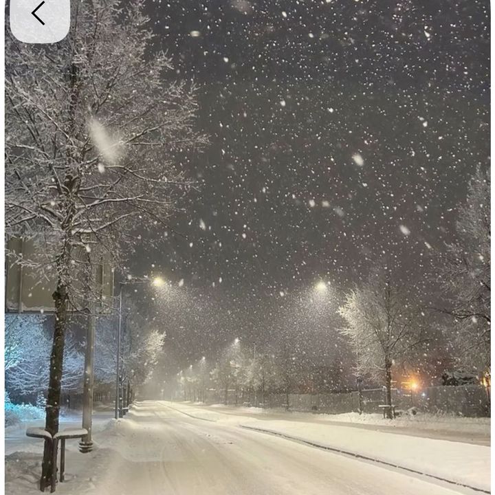 christmasvibes
