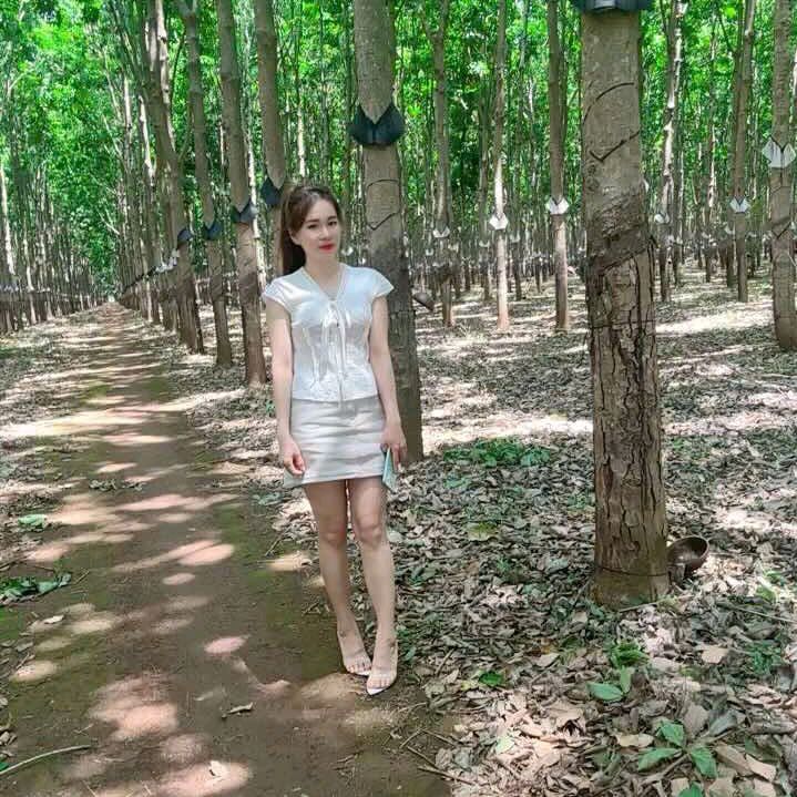 Tuyết mùa hạ.🌹