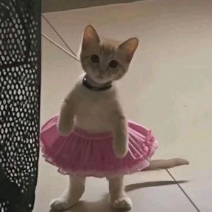 ASMR_ODDY