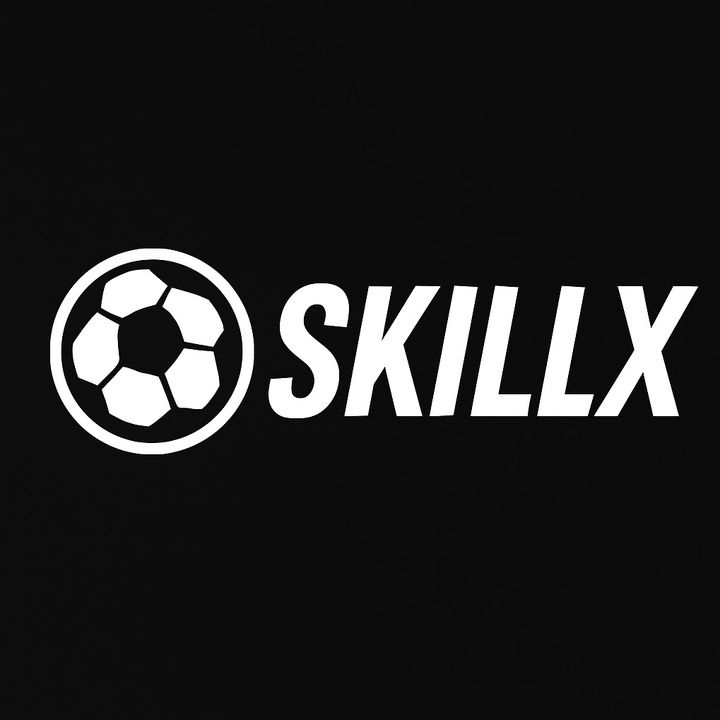SkillX