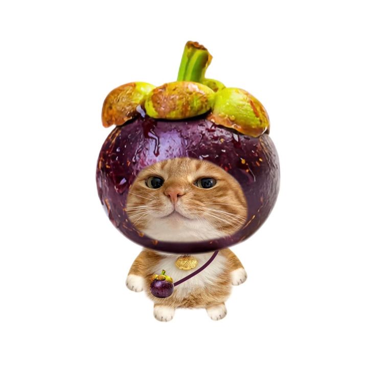 zwbu2ogca8