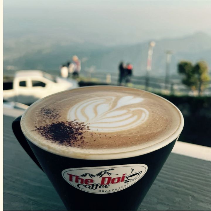 The Doi Coffee Phutupberk