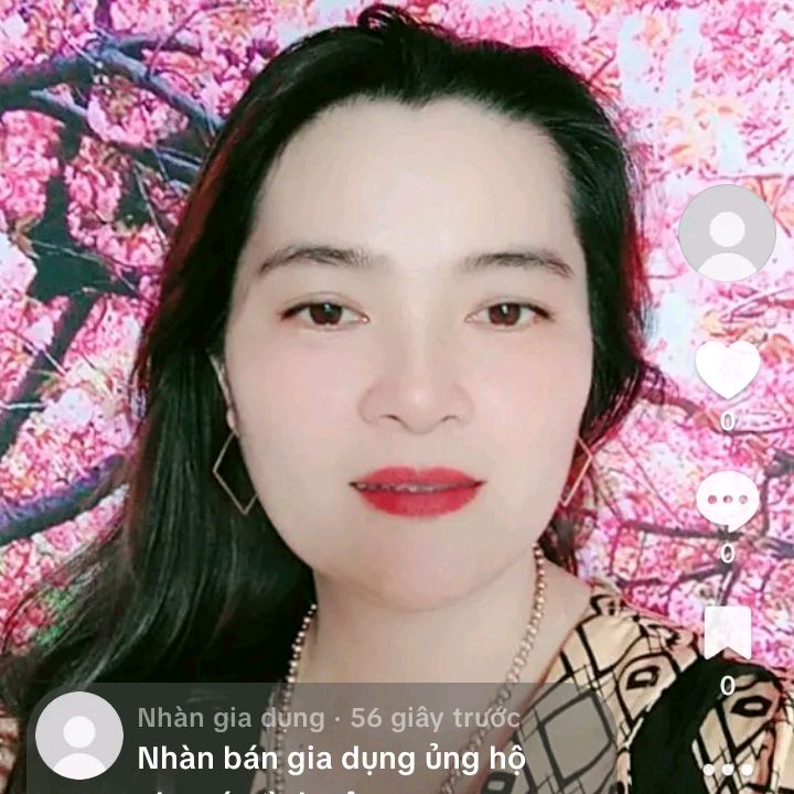 Nhàn gia dụng