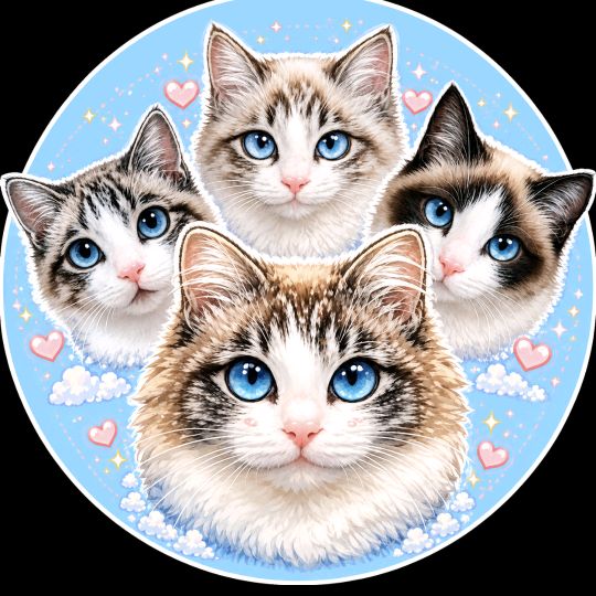 野良猫花子🐾🩵