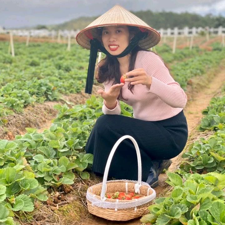 Trần Thị Nhung