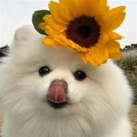 kolwdeb4n0