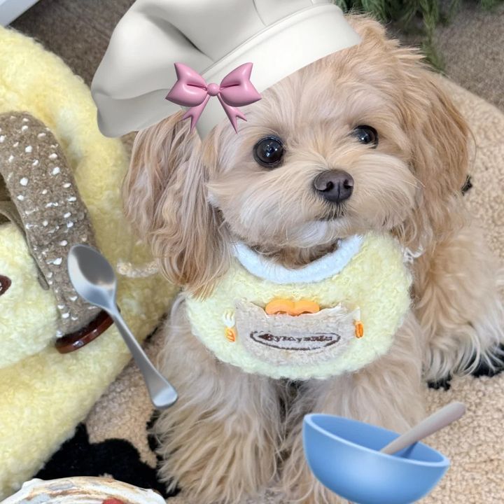 わんこと赤ちゃん