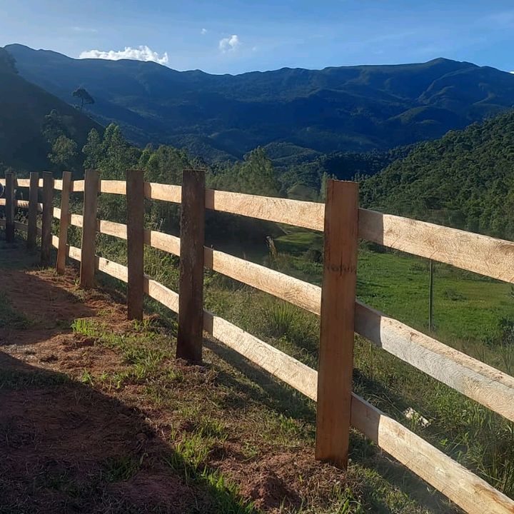🤠🌽VIDA NA ROÇA🤴🏰