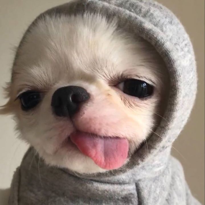soy lizy