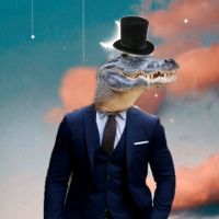 El_totolilo