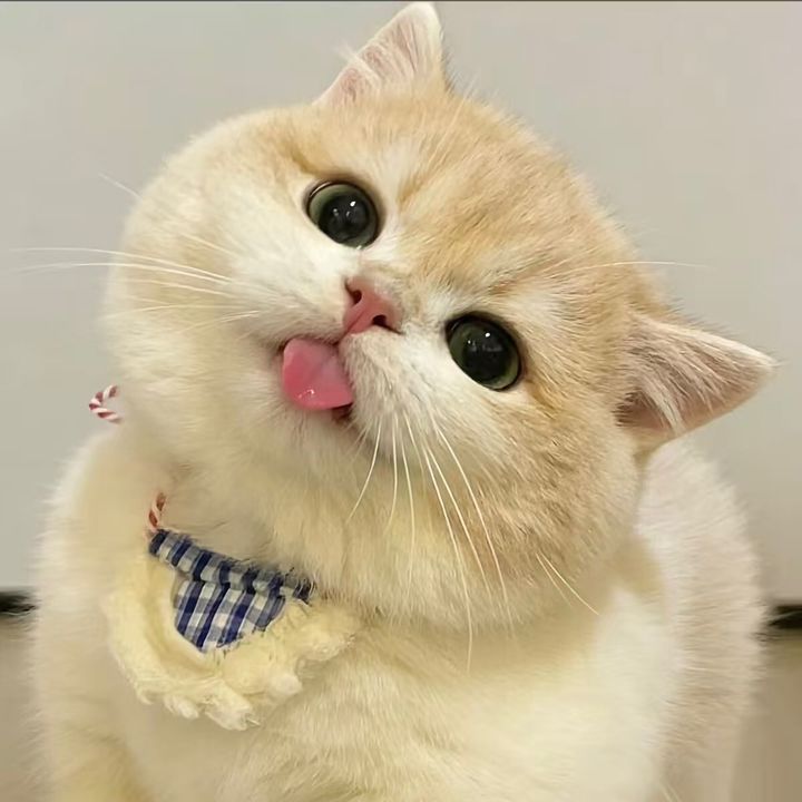 rj8ccvvbz4