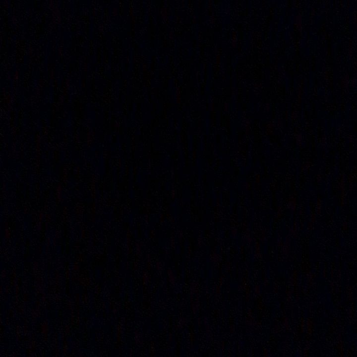 TeamNegro