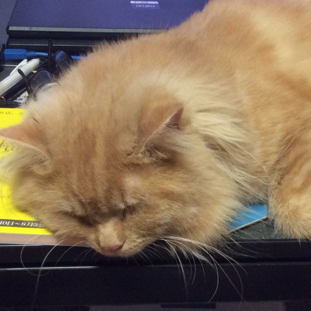 三武 守