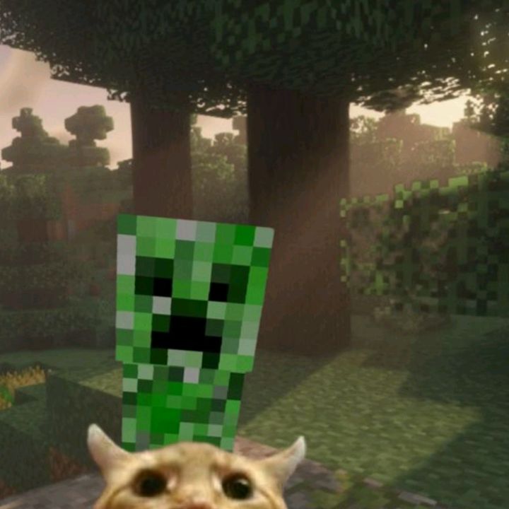 Sadiecg
