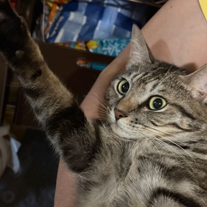 てん