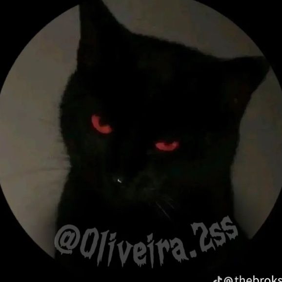 I’am Oliveira🇪🇬