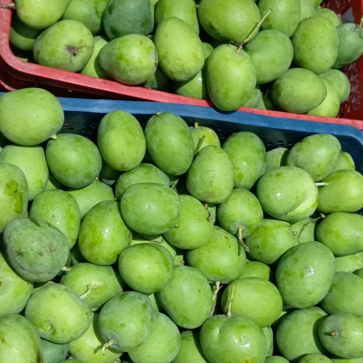 alimansri88