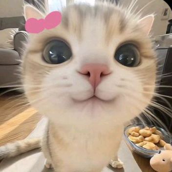 ☾.𝒮𝒾𝓈𝓉𝓊𝓇'𝓈 𝒞𝒶𝓇𝓉.ᐟ࣪