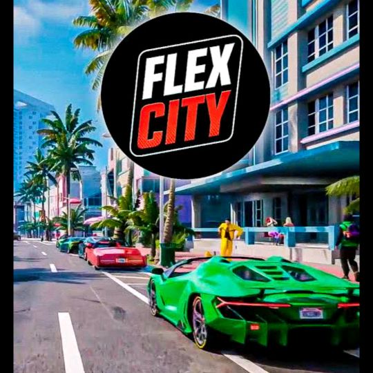 Flex city