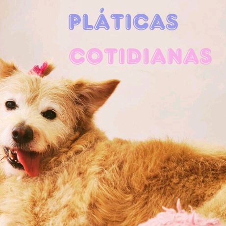 Pláticas Cotidianas